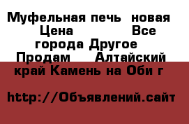 Муфельная печь (новая)  › Цена ­ 58 300 - Все города Другое » Продам   . Алтайский край,Камень-на-Оби г.